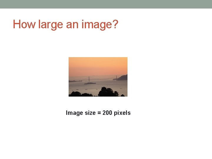 How large an image? Image size = 200 pixels 