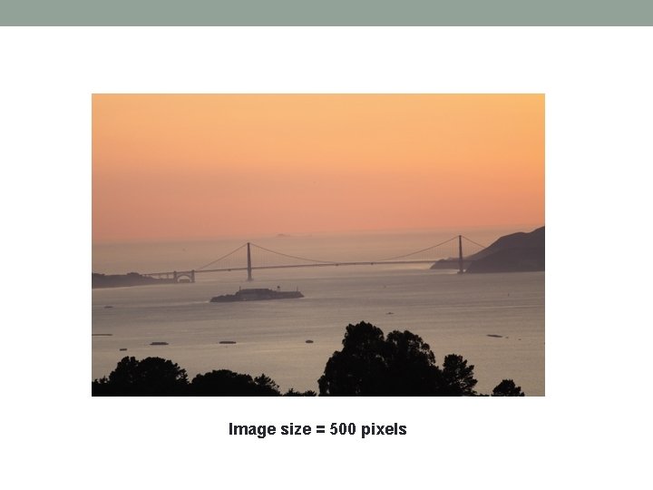 Image size = 500 pixels 