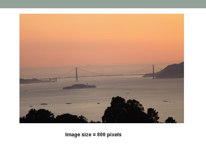 Image size = 800 pixels 