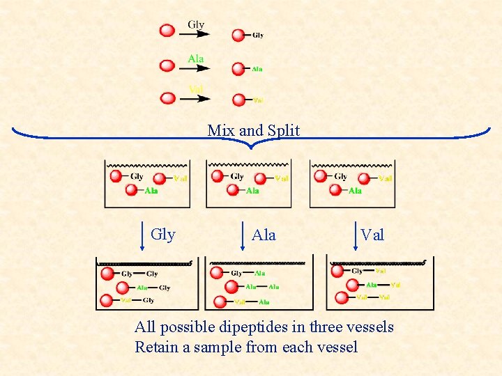Mix and Split Gly Ala Val All possible dipeptides in three vessels Retain a