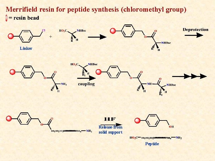 Merrifield resin for peptide synthesis (chloromethyl group) Linker Release from solid support Peptide 