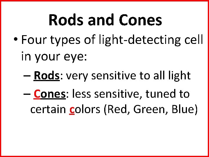 Rods and Cones • Four types of light-detecting cell in your eye: – Rods:
