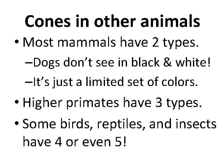 Cones in other animals • Most mammals have 2 types. –Dogs don’t see in