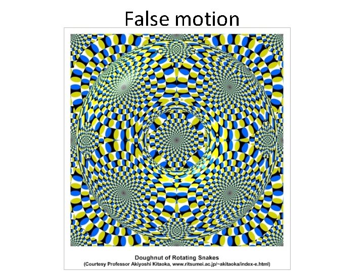 False motion 