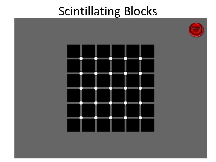 Scintillating Blocks 