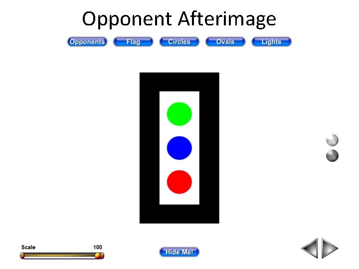 Opponent Afterimage 