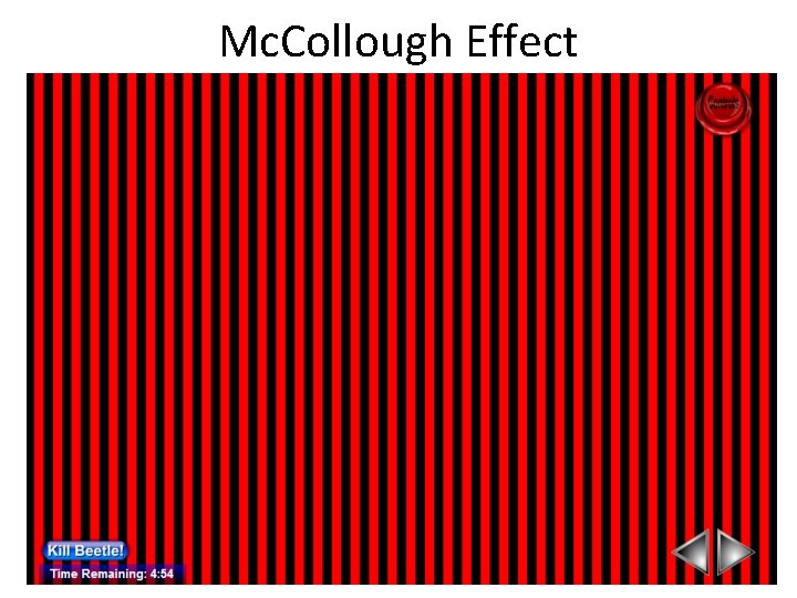 Mc. Collough Effect 