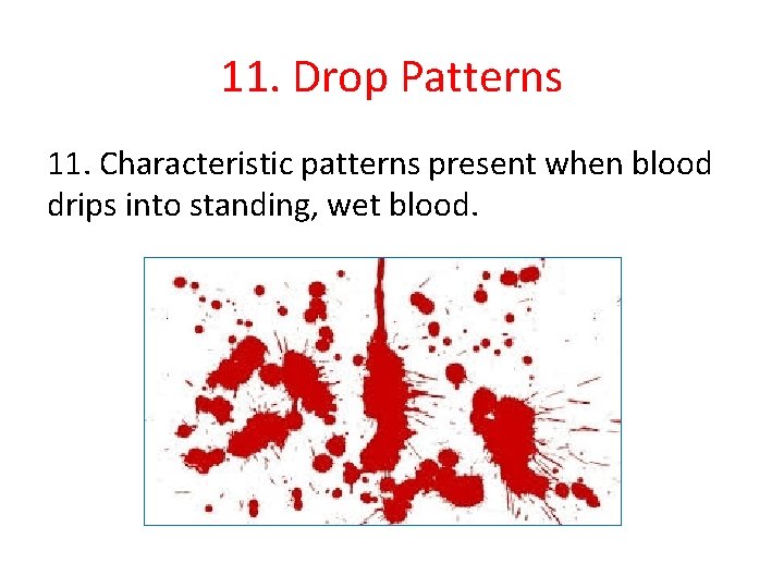 11. Drop Patterns 11. Characteristic patterns present when blood drips into standing, wet blood.
