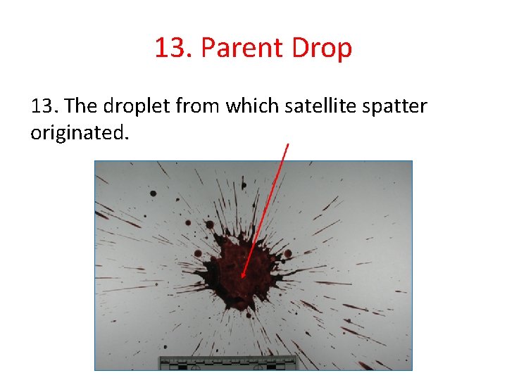 13. Parent Drop 13. The droplet from which satellite spatter originated. 