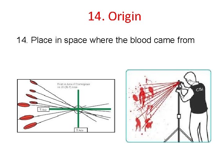 14. Origin 14. Place in space where the blood came from 