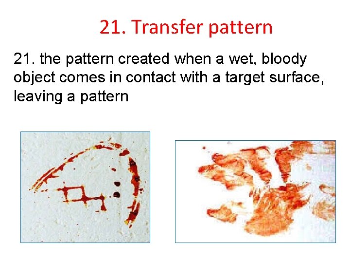 21. Transfer pattern 21. the pattern created when a wet, bloody object comes in