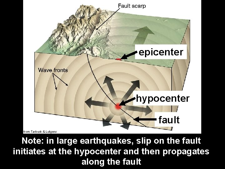 epicenter hypocenter fault from Tarbuck & Lutgens Note: in large earthquakes, slip on the