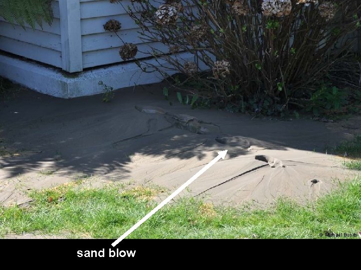 © Michael Bunds sand blow 