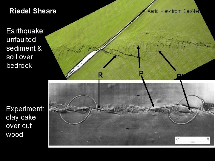 Riedel Shears Aerial view from Geo. Net Earthquake: unfaulted sediment & soil over bedrock