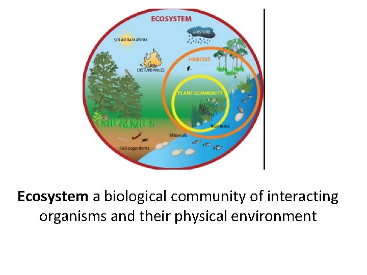 Ecosystem a biological community of interacting organisms and their physical environment 