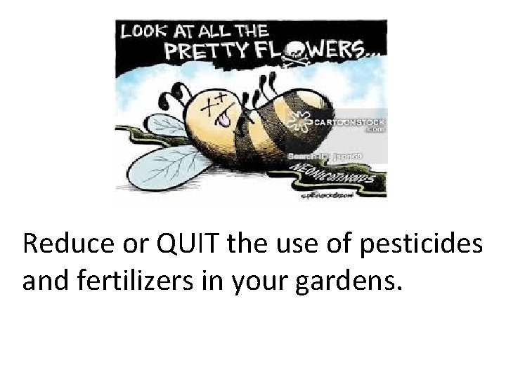 Reduce or QUIT the use of pesticides and fertilizers in your gardens. 