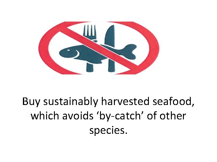 Buy sustainably harvested seafood, which avoids ‘by-catch’ of other species. 