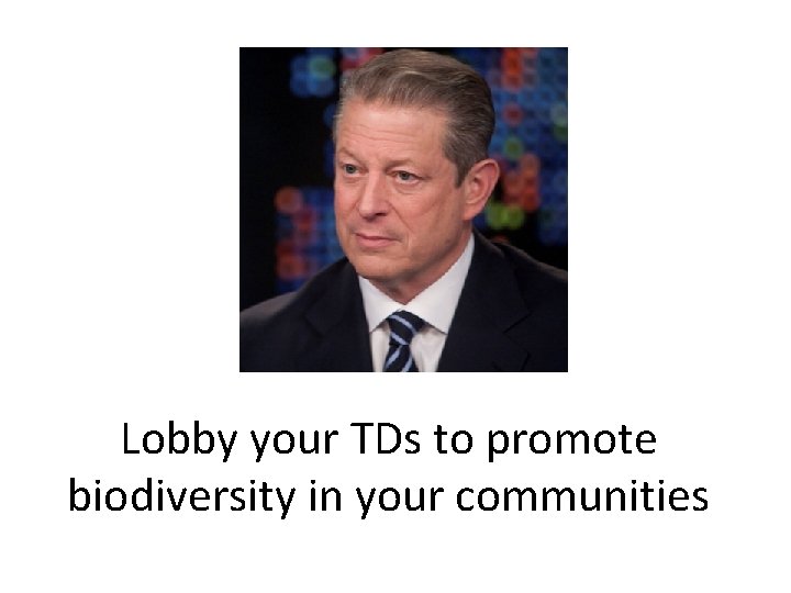 Lobby your TDs to promote biodiversity in your communities 
