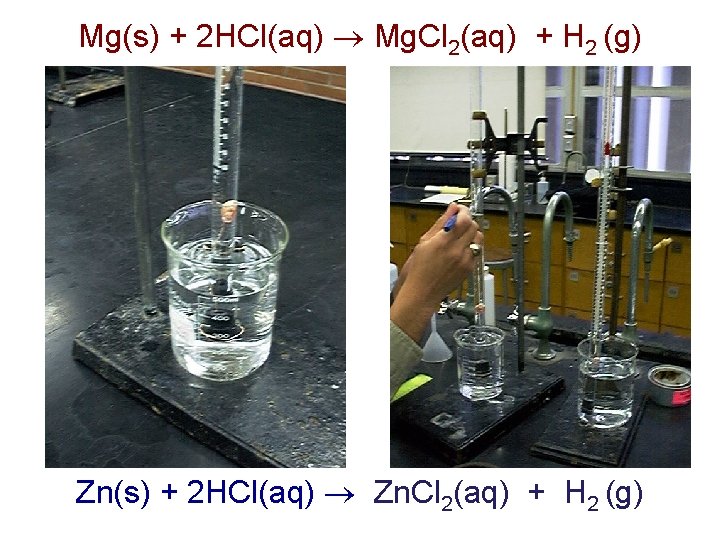 Mg(s) + 2 HCl(aq) Mg. Cl 2(aq) + H 2 (g) Zn(s) + 2