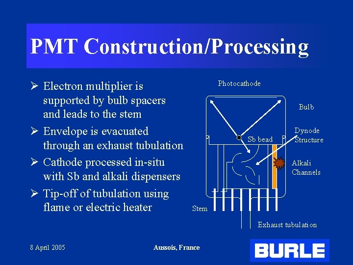 PMT Construction/Processing Ø Electron multiplier is supported by bulb spacers and leads to the