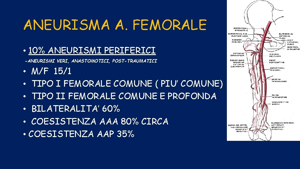 ANEURISMA A. FEMORALE • 10% ANEURISMI PERIFERICI -ANEURISMI VERI, ANASTOMOTICI, POST-TRAUMATICI • M/F 15/1