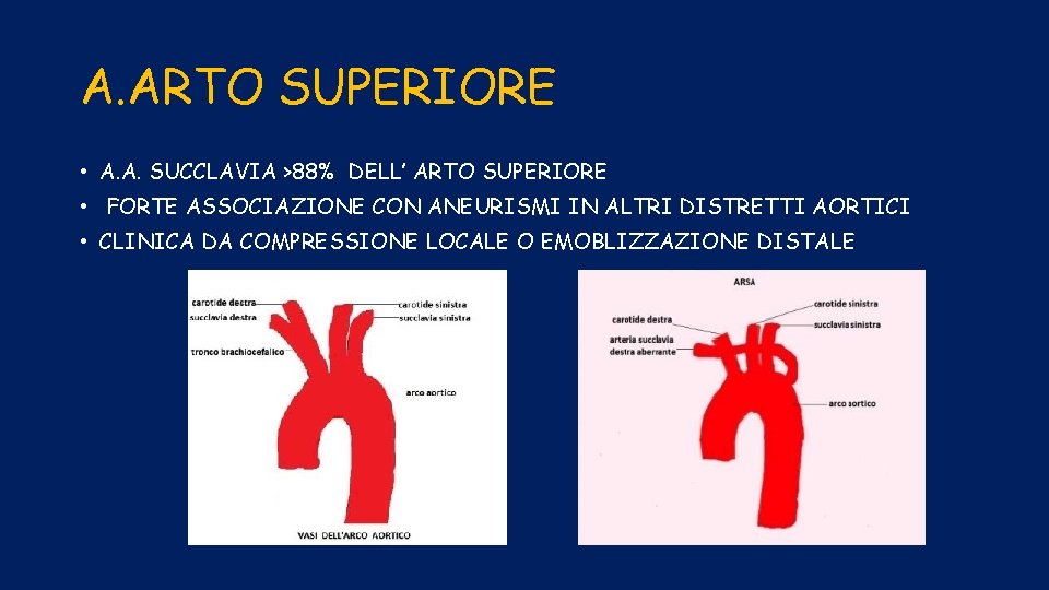 A. ARTO SUPERIORE • A. A. SUCCLAVIA >88% DELL’ ARTO SUPERIORE • FORTE ASSOCIAZIONE