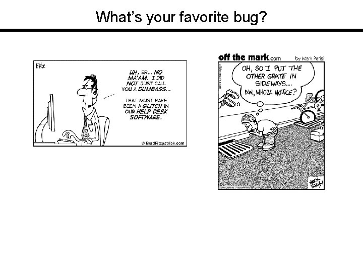 What’s your favorite bug? 