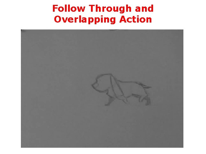 Follow Through and Overlapping Action 
