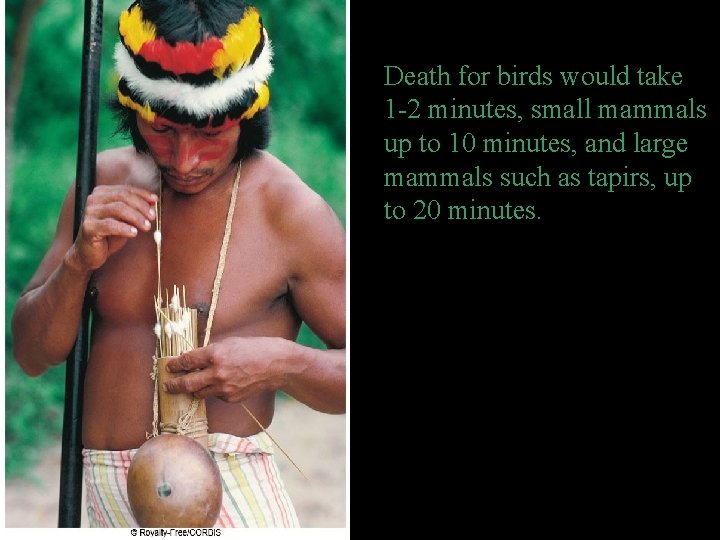 Death for birds would take 1 -2 minutes, small mammals up to 10 minutes,