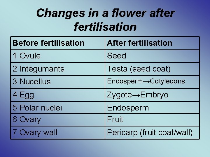 Changes in a flower after fertilisation Before fertilisation After fertilisation 1 Ovule Seed 2