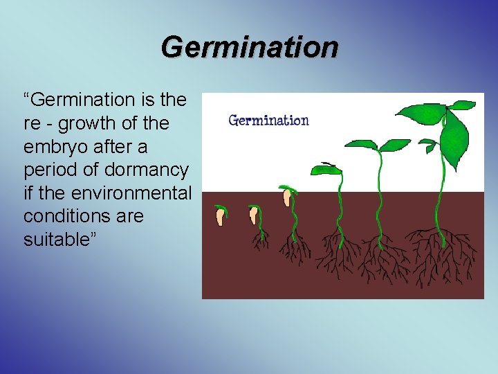 Germination “Germination is the re - growth of the embryo after a period of