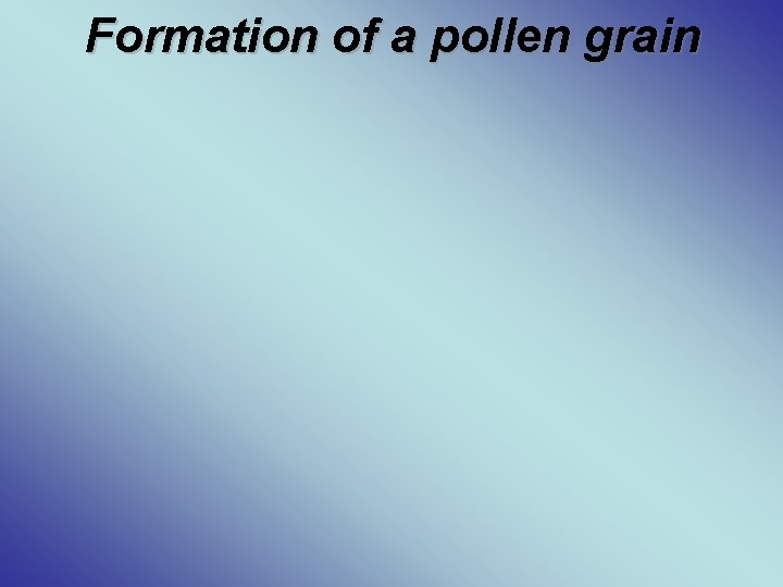 Formation of a pollen grain 