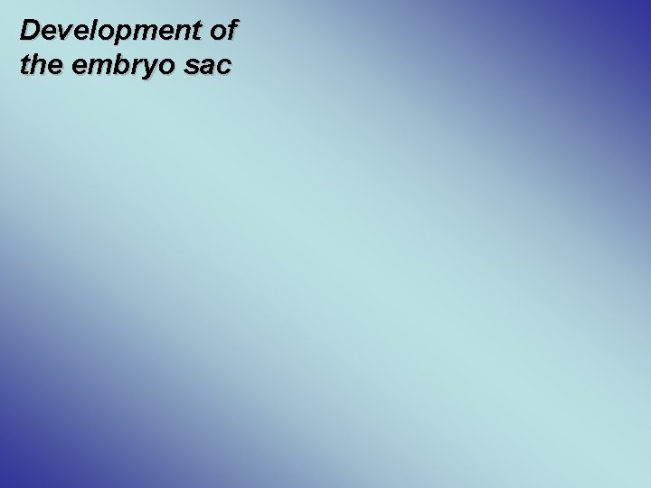 Development of the embryo sac 