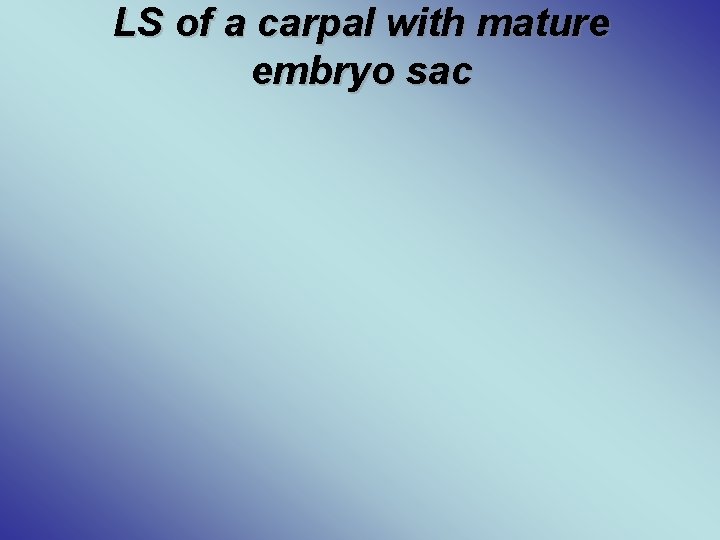 LS of a carpal with mature embryo sac 