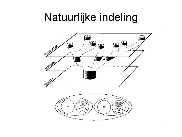 Natuurlijke indeling 