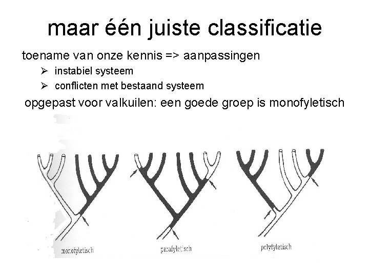 maar één juiste classificatie toename van onze kennis => aanpassingen Ø instabiel systeem Ø