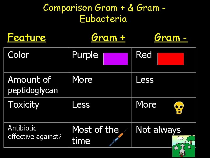 Comparison Gram + & Gram Eubacteria Feature Gram + Gram - Color Purple Red