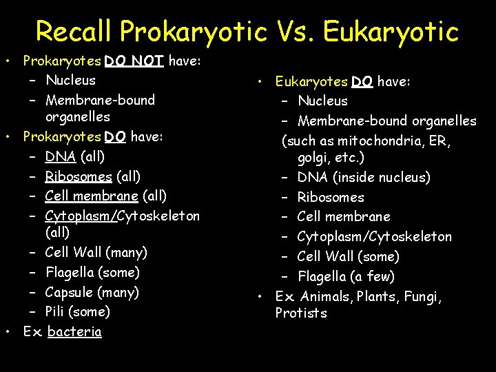 Recall Prokaryotic Vs. Eukaryotic • Prokaryotes DO NOT have: – Nucleus – Membrane-bound organelles