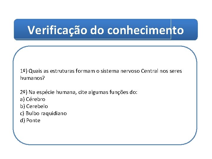 Verificação do conhecimento 1º) Quais as estruturas formam o sistema nervoso Central nos seres