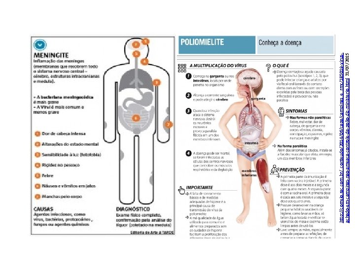 http: //correio. rac. com. br/_conteudo/2014/06/capa/campinas_e_rmc/185019 -virusachado-em-campinas-nao-ameaca-controle-da-polio-diz-ministerio. html 31/07/2015 