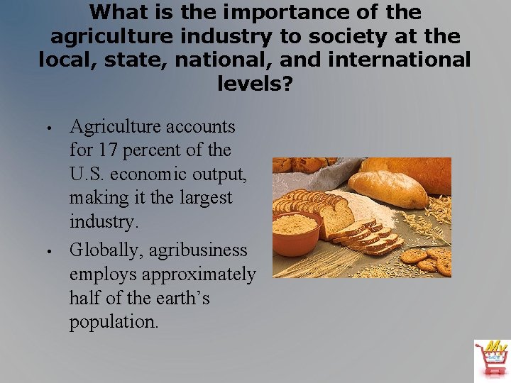 What is the importance of the agriculture industry to society at the local, state,