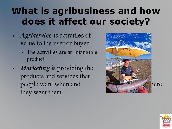 What is agribusiness and how does it affect our society? • Agriservice is activities