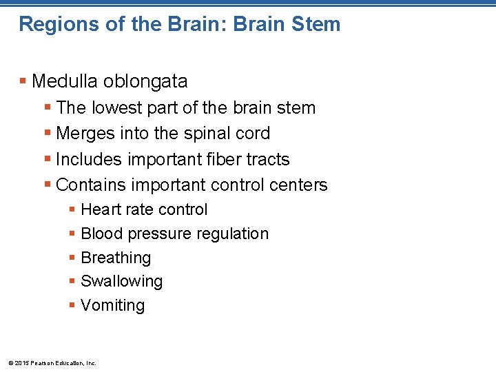 Regions of the Brain: Brain Stem § Medulla oblongata § The lowest part of