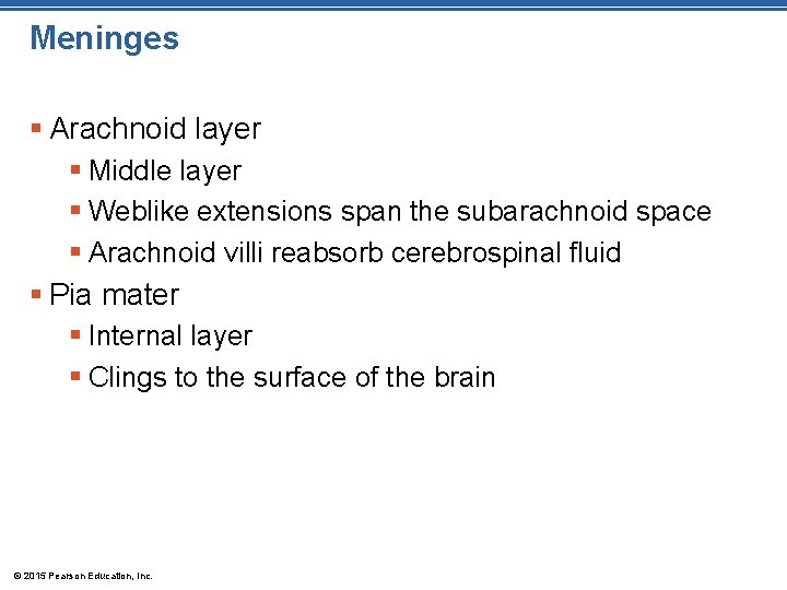 Meninges § Arachnoid layer § Middle layer § Weblike extensions span the subarachnoid space
