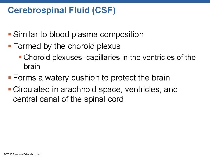 Cerebrospinal Fluid (CSF) § Similar to blood plasma composition § Formed by the choroid