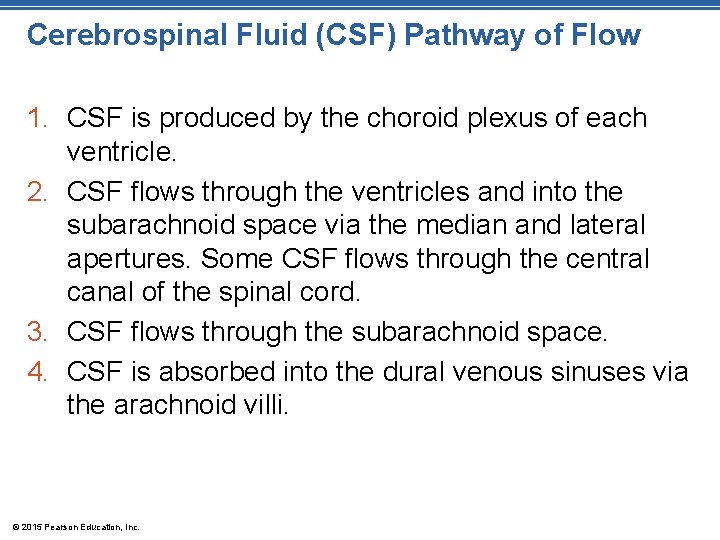 Cerebrospinal Fluid (CSF) Pathway of Flow 1. CSF is produced by the choroid plexus