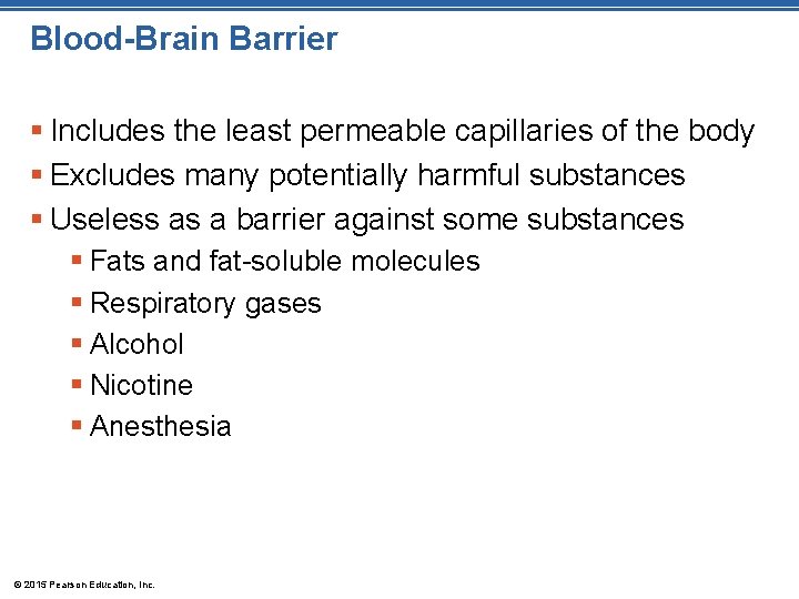 Blood-Brain Barrier § Includes the least permeable capillaries of the body § Excludes many