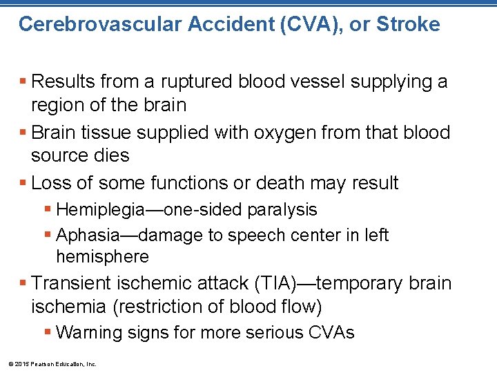 Cerebrovascular Accident (CVA), or Stroke § Results from a ruptured blood vessel supplying a