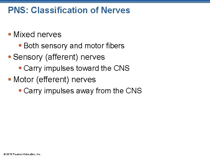 PNS: Classification of Nerves § Mixed nerves § Both sensory and motor fibers §
