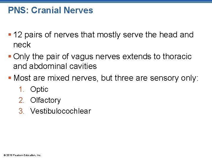 PNS: Cranial Nerves § 12 pairs of nerves that mostly serve the head and